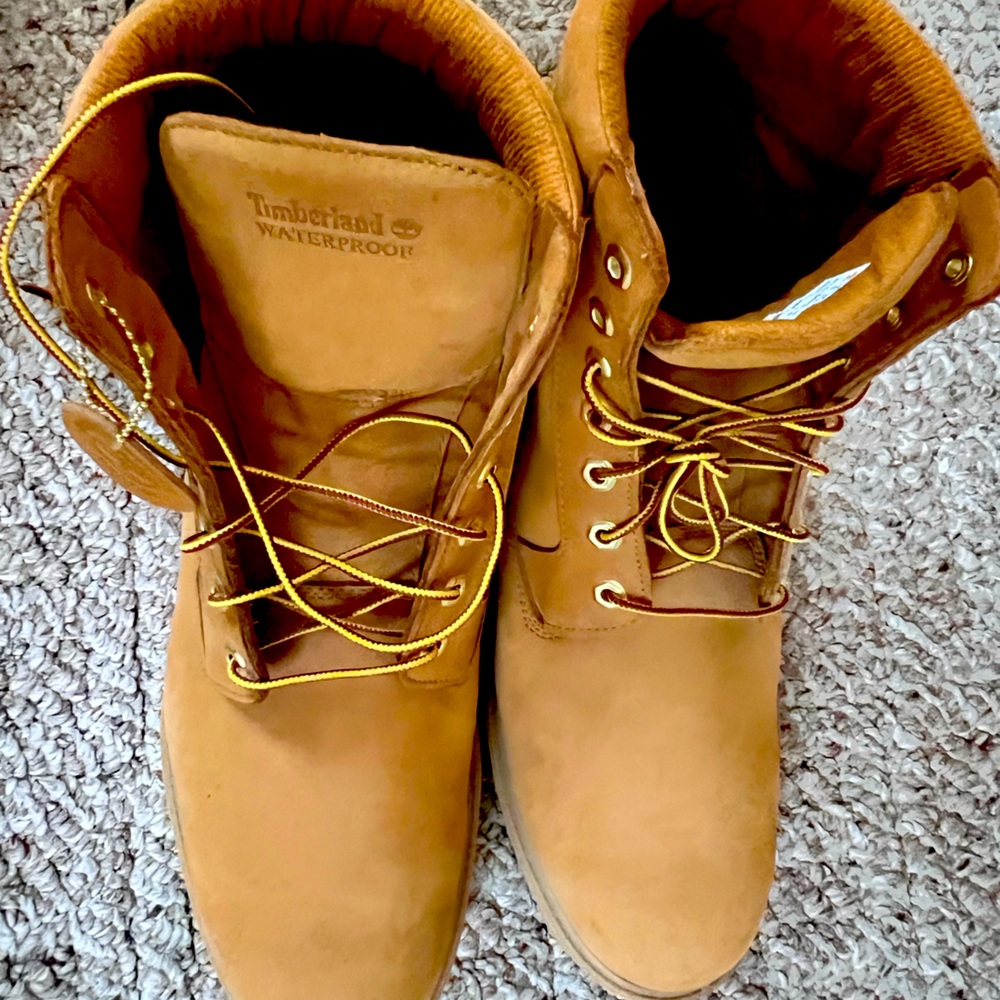BNWT Men’s Waterproof Timberland Boots